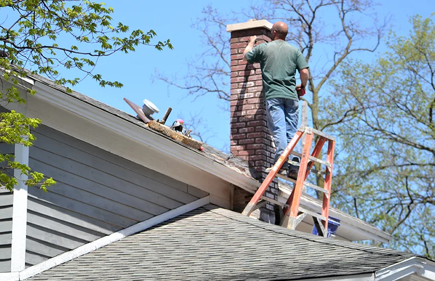 Chimney & Fireplace Inspections Services in Holt, MI